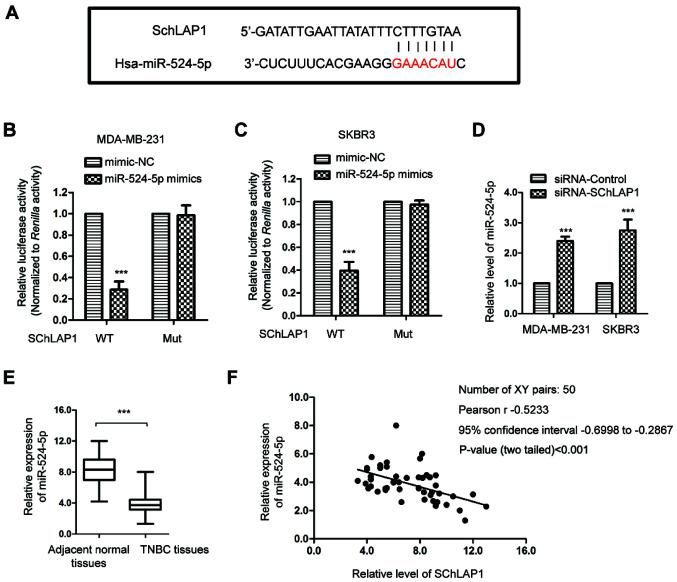 https://cdn.ncbi.nlm.nih.gov/pmc/blobs/bfdb/8060801/c31904bedf8b/mmr-23-06-12085-g02.jpg
