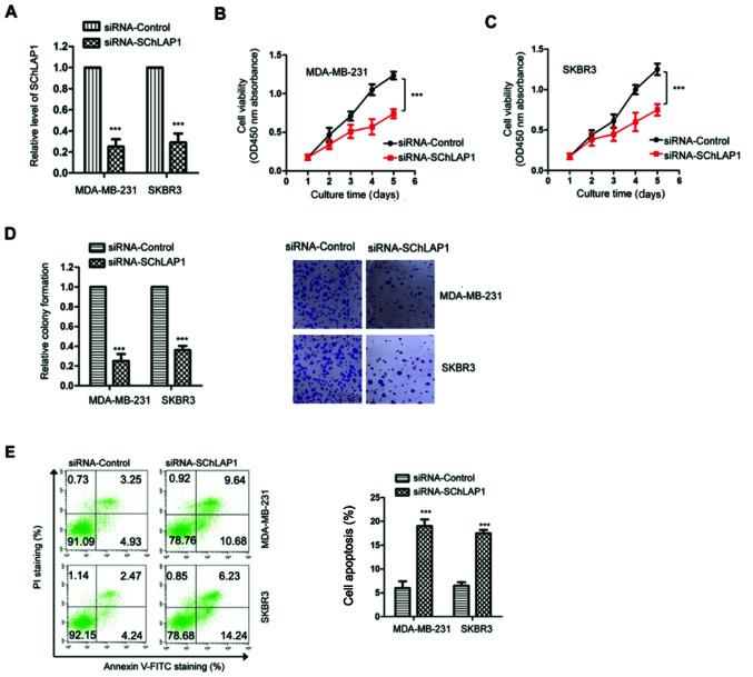 https://cdn.ncbi.nlm.nih.gov/pmc/blobs/bfdb/8060801/fcfe13601bdf/mmr-23-06-12085-g01.jpg