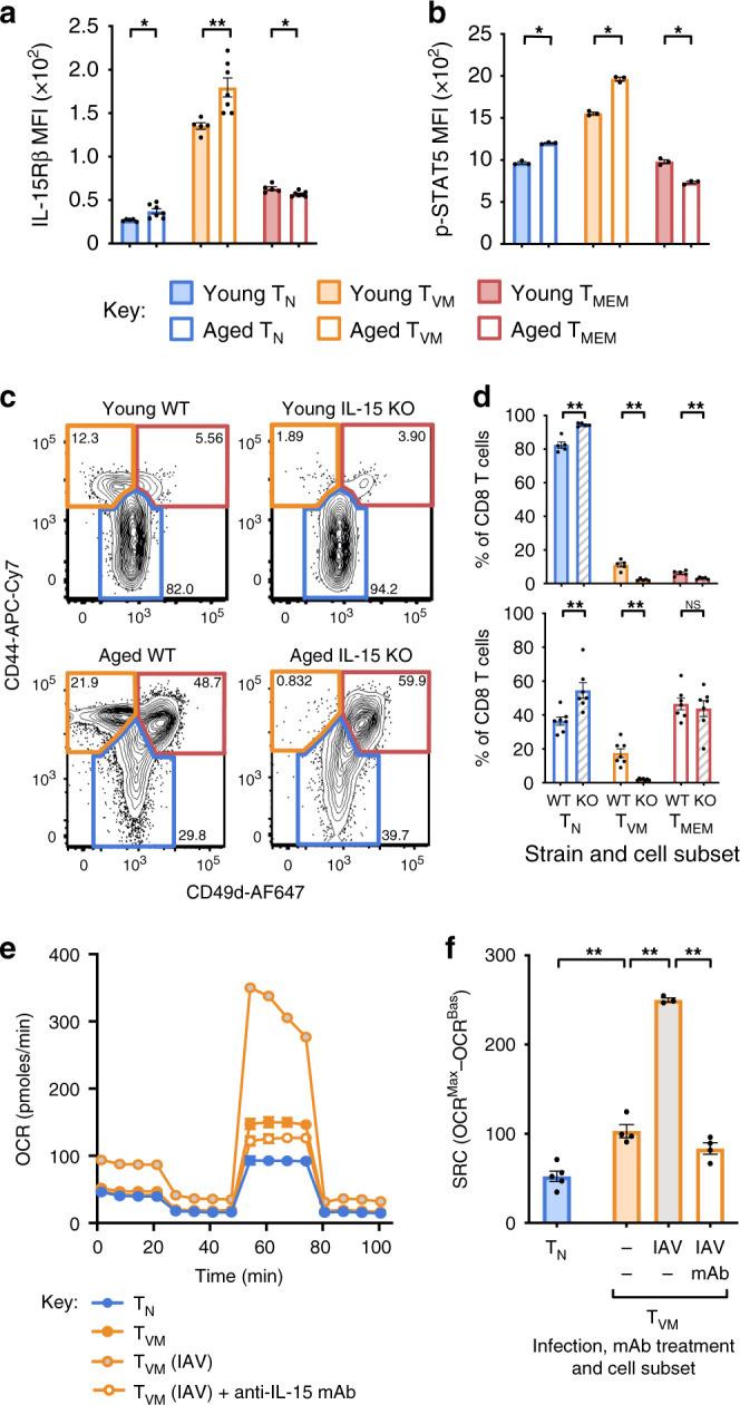 https://cdn.ncbi.nlm.nih.gov/pmc/blobs/bfdc/7275080/d73d938f0e15/41467_2020_16633_Fig5_HTML.jpg