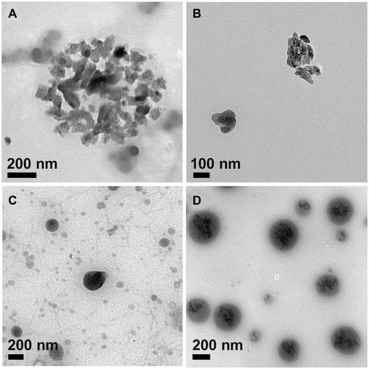 https://cdn.ncbi.nlm.nih.gov/pmc/blobs/bfdc/9869790/5dd617a50c1e/IJN-18-323-g0003.jpg