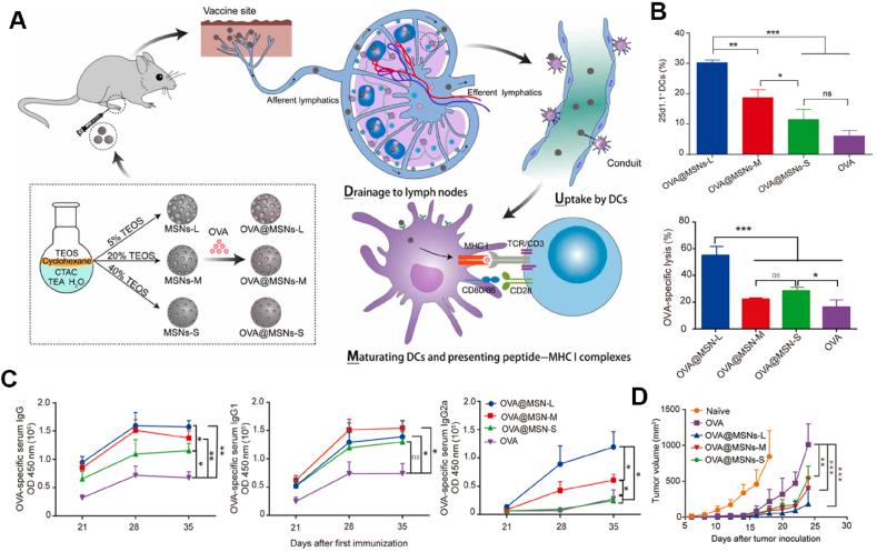 https://cdn.ncbi.nlm.nih.gov/pmc/blobs/bfe0/12137980/7cb574281c01/gr4.jpg