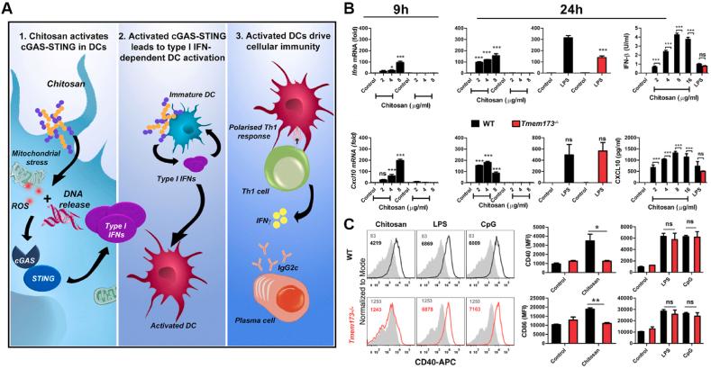 https://cdn.ncbi.nlm.nih.gov/pmc/blobs/bfe0/12137980/99ab7c45326d/gr3.jpg