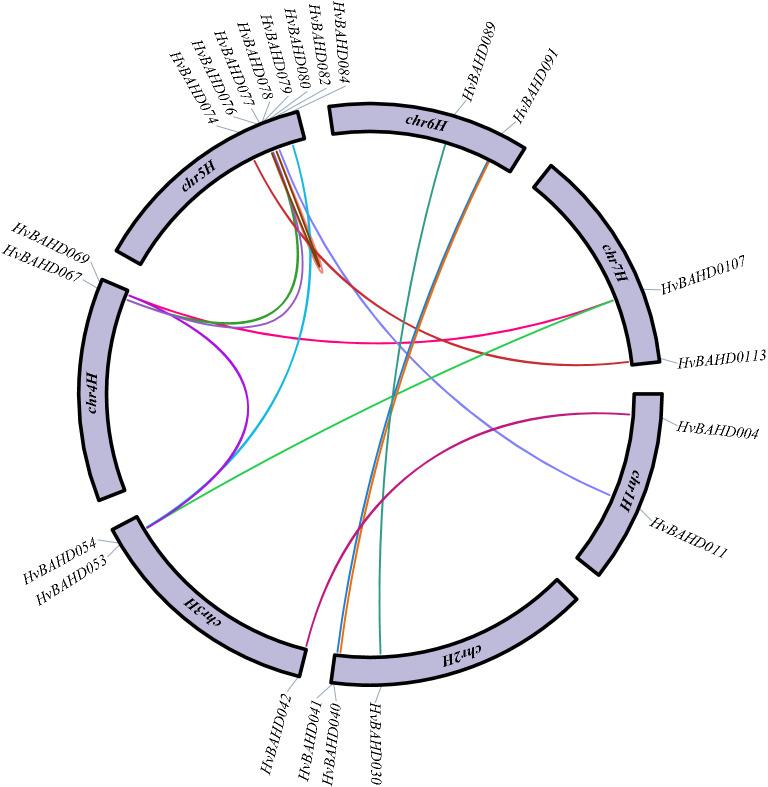 https://cdn.ncbi.nlm.nih.gov/pmc/blobs/bfe2/8948222/2af4d09f0809/41598_2022_8983_Fig5_HTML.jpg