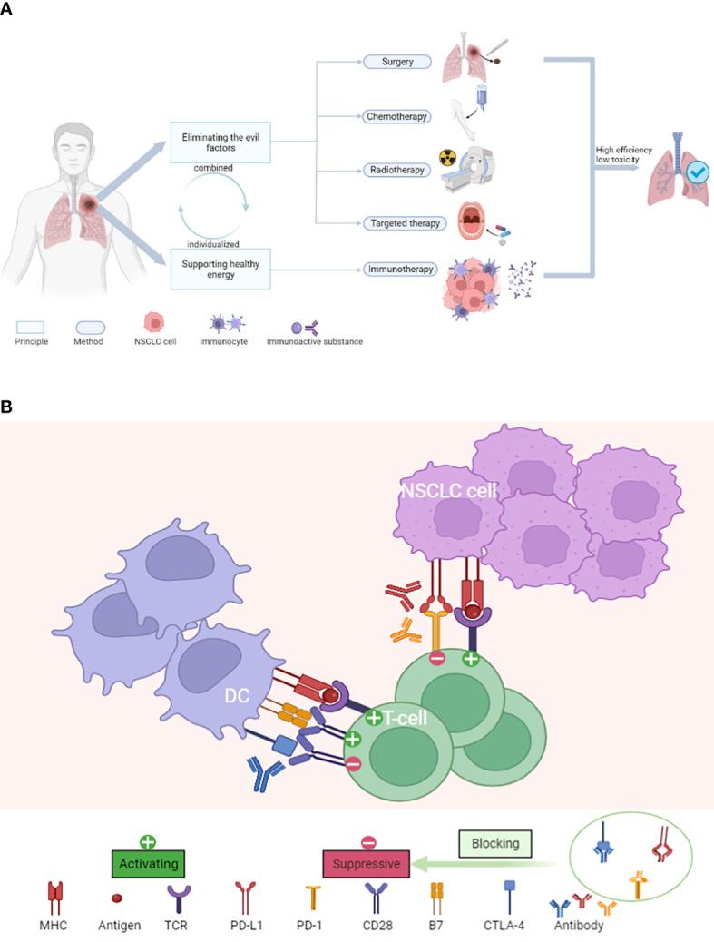 https://cdn.ncbi.nlm.nih.gov/pmc/blobs/bfe2/9428518/792b4e65fb70/fonc-12-939838-g008.jpg