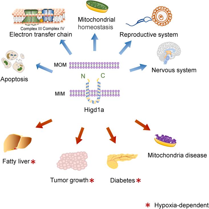 https://cdn.ncbi.nlm.nih.gov/pmc/blobs/bfe3/10363561/5be9ab989443/gr1.jpg
