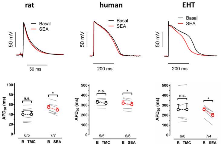 https://cdn.ncbi.nlm.nih.gov/pmc/blobs/bfe3/9368200/975bea825581/cells-11-02424-g002.jpg