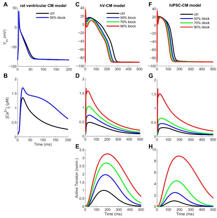 https://cdn.ncbi.nlm.nih.gov/pmc/blobs/bfe3/9368200/b9fce7cfdfca/cells-11-02424-g004.jpg