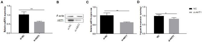 https://cdn.ncbi.nlm.nih.gov/pmc/blobs/bfe4/7901978/16eefc0e6b61/fgene-12-636550-g0006.jpg
