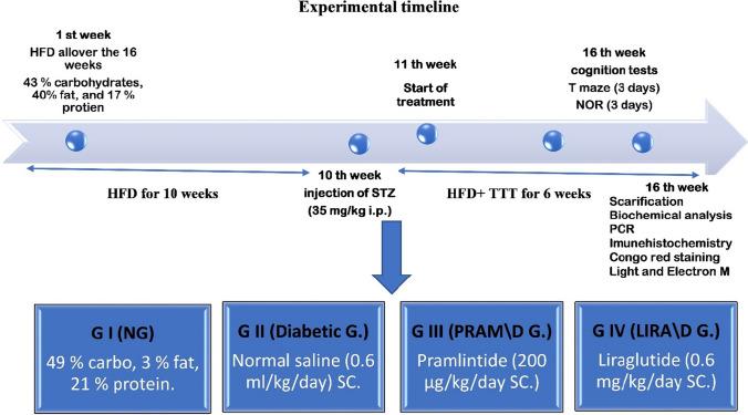 https://cdn.ncbi.nlm.nih.gov/pmc/blobs/bfe5/11033245/7c0a59854644/424_2024_2933_Fig1_HTML.jpg