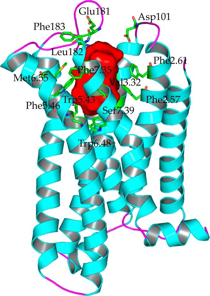 https://cdn.ncbi.nlm.nih.gov/pmc/blobs/bfe6/4170816/fb603dcf0fb8/ci-2014-002718_0004.jpg