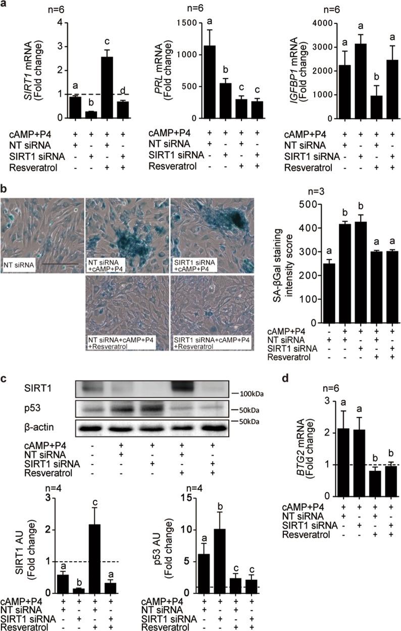 https://cdn.ncbi.nlm.nih.gov/pmc/blobs/bfe7/6427032/91568f0665cc/41419_2019_1511_Fig3_HTML.jpg