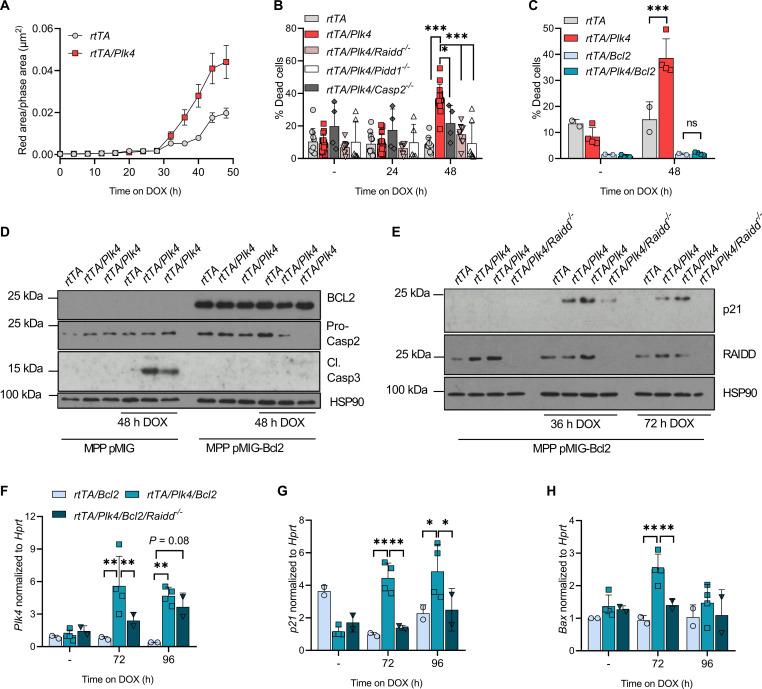 https://cdn.ncbi.nlm.nih.gov/pmc/blobs/bfe9/10980279/c9e6e532ff6a/sciadv.adk0564-f6.jpg