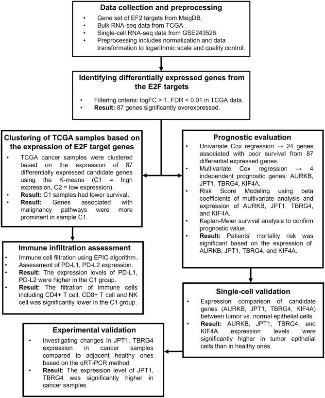 https://cdn.ncbi.nlm.nih.gov/pmc/blobs/bfeb/12142822/5017130ba438/12935_2025_3839_Fig1_HTML.jpg