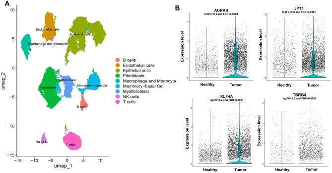 https://cdn.ncbi.nlm.nih.gov/pmc/blobs/bfeb/12142822/a70483a04b3a/12935_2025_3839_Fig5_HTML.jpg