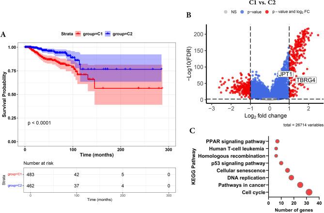 https://cdn.ncbi.nlm.nih.gov/pmc/blobs/bfeb/12142822/f82ed272f773/12935_2025_3839_Fig7_HTML.jpg