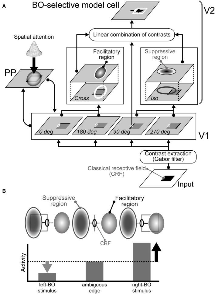 https://cdn.ncbi.nlm.nih.gov/pmc/blobs/bfeb/5247462/37f3d22a07aa/fpsyg-07-02084-g0001.jpg