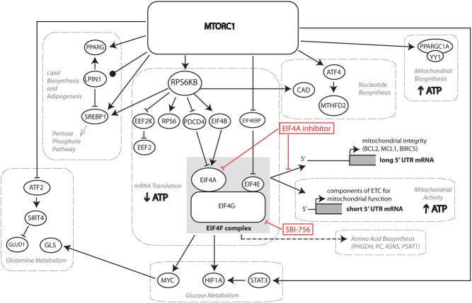 https://cdn.ncbi.nlm.nih.gov/pmc/blobs/bfed/6347283/c2cbb10e6ff3/JME-18-0058fig2.jpg