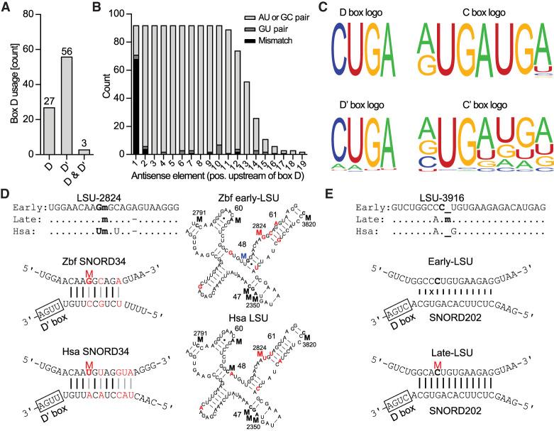 https://cdn.ncbi.nlm.nih.gov/pmc/blobs/bfed/7668251/9c0d97386737/1919f04.jpg