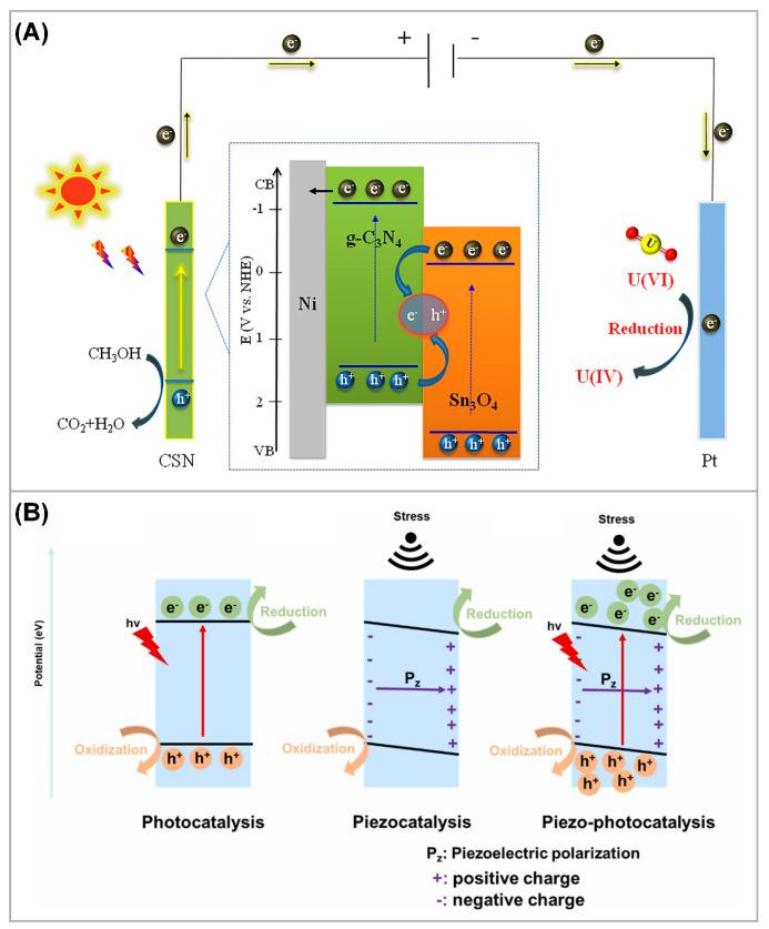 https://cdn.ncbi.nlm.nih.gov/pmc/blobs/bfee/10343363/1e1df726d1aa/nanomaterials-13-02005-g011.jpg