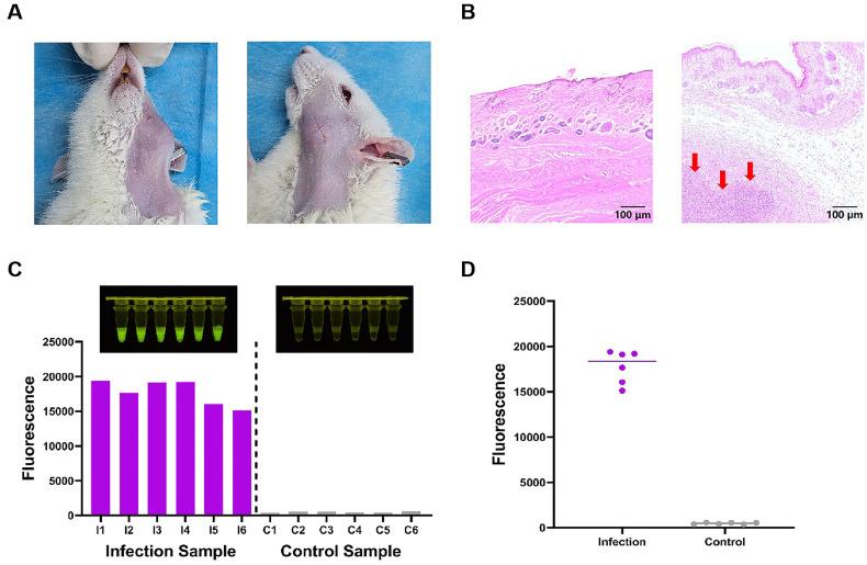 https://cdn.ncbi.nlm.nih.gov/pmc/blobs/bfee/12283255/158278ed3de4/jmb-35-e2504034-f4.jpg
