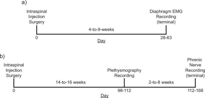 https://cdn.ncbi.nlm.nih.gov/pmc/blobs/bfef/12129449/70d35ccf4bd2/elife-97846-fig9.jpg
