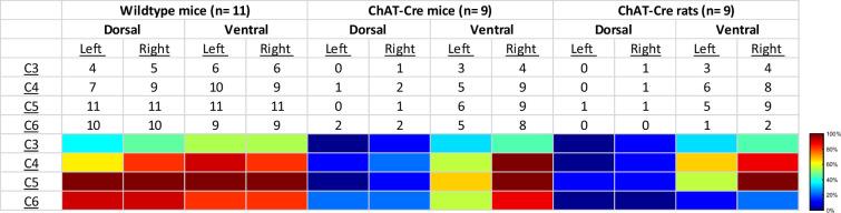 https://cdn.ncbi.nlm.nih.gov/pmc/blobs/bfef/12129449/fa2db3dfcfd8/elife-97846-fig8.jpg