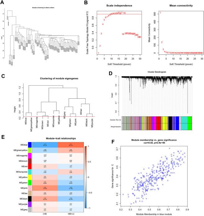 https://cdn.ncbi.nlm.nih.gov/pmc/blobs/bff0/10556489/39d041279759/fmolb-10-1275897-g003.jpg