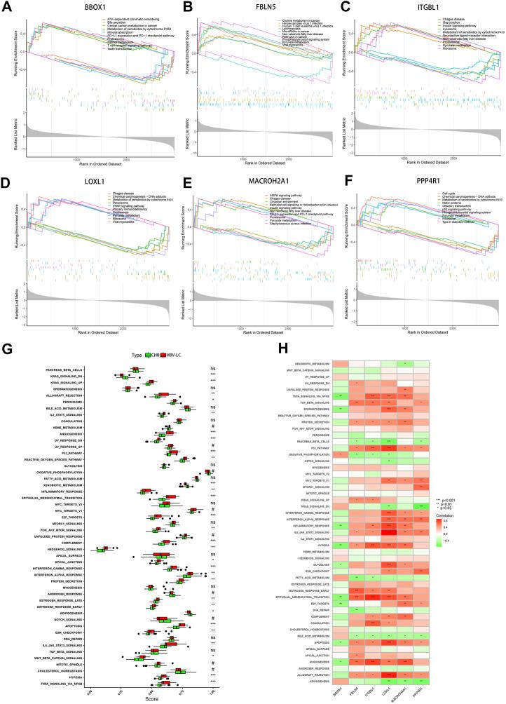 https://cdn.ncbi.nlm.nih.gov/pmc/blobs/bff0/10556489/a15c3afe4e83/fmolb-10-1275897-g008.jpg
