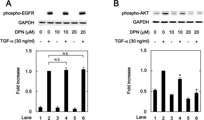 https://cdn.ncbi.nlm.nih.gov/pmc/blobs/bff0/8746762/75fe8d390b77/pone.0262485.g005.jpg