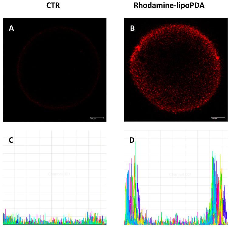 https://cdn.ncbi.nlm.nih.gov/pmc/blobs/bff5/10970349/19e91ecd952c/ijms-25-03392-g007.jpg