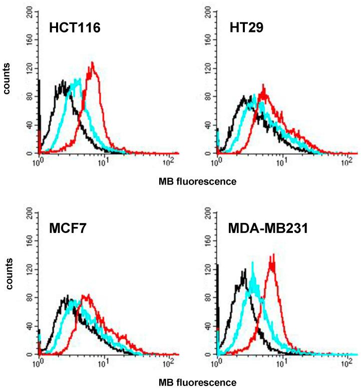 https://cdn.ncbi.nlm.nih.gov/pmc/blobs/bff5/10970349/80bf81cace5d/ijms-25-03392-g006.jpg