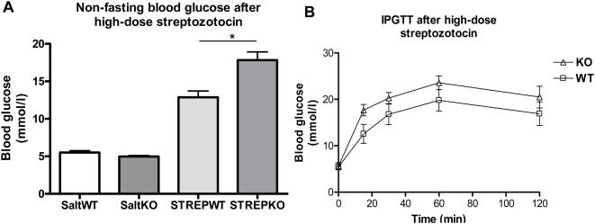 https://cdn.ncbi.nlm.nih.gov/pmc/blobs/bff6/2683566/316d6422123e/pone.0005684.g009.jpg