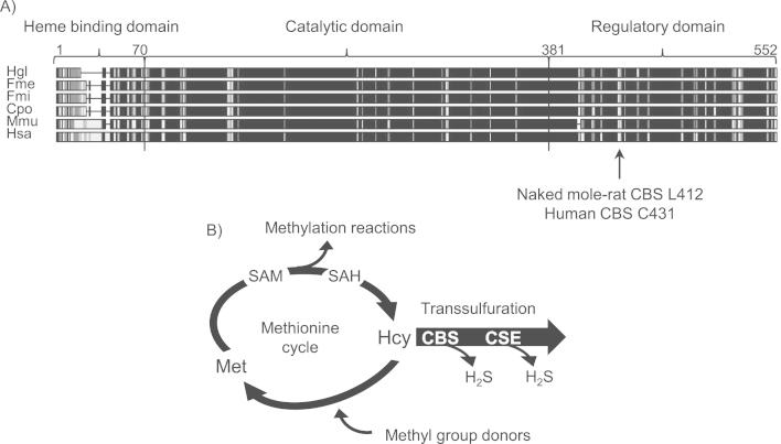 https://cdn.ncbi.nlm.nih.gov/pmc/blobs/bff6/4732021/7eafde47bb9a/gr1.jpg