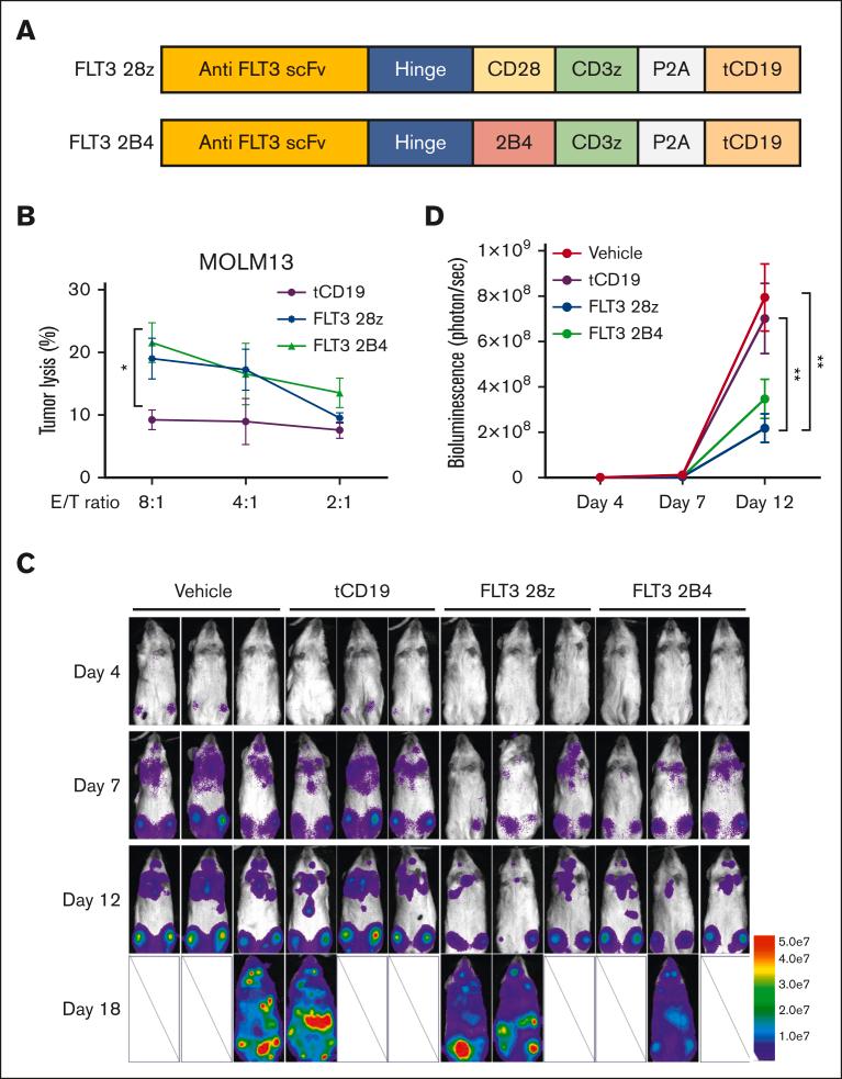 https://cdn.ncbi.nlm.nih.gov/pmc/blobs/bff8/10582841/bdcdfb8dae75/BLOODA_ADV-2022-007405-gr2.jpg