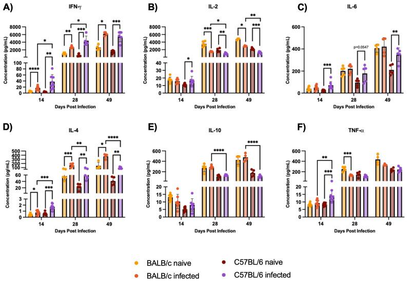 https://cdn.ncbi.nlm.nih.gov/pmc/blobs/bffa/12066522/b3fd56ec1bb4/fimmu-16-1487317-g007.jpg