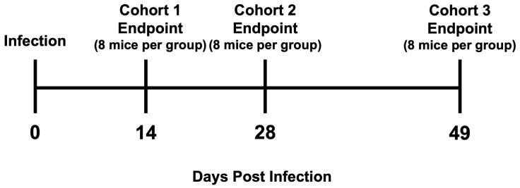 https://cdn.ncbi.nlm.nih.gov/pmc/blobs/bffa/12066522/bec722bda3f7/fimmu-16-1487317-g001.jpg