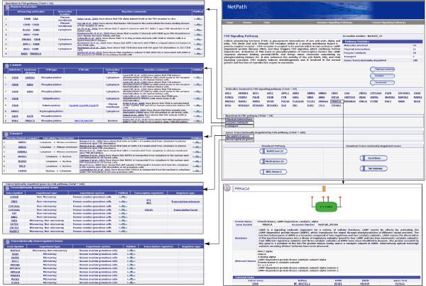 https://cdn.ncbi.nlm.nih.gov/pmc/blobs/bffe/3204250/a0b75c4bb5d8/1756-0500-4-408-1.jpg