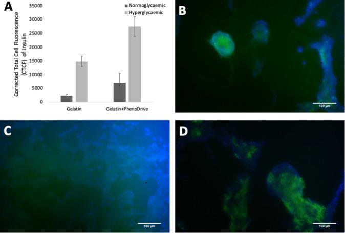 https://cdn.ncbi.nlm.nih.gov/pmc/blobs/bffe/9001567/d2de9c567023/10856_2022_6658_Fig4_HTML.jpg