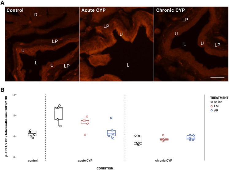 https://cdn.ncbi.nlm.nih.gov/pmc/blobs/c001/10493645/864a128ed79a/nihms-1929086-f0006.jpg