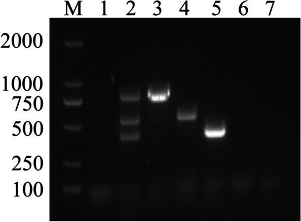 https://cdn.ncbi.nlm.nih.gov/pmc/blobs/c001/9608924/1aeff31c8bcc/12917_2022_3460_Fig3_HTML.jpg