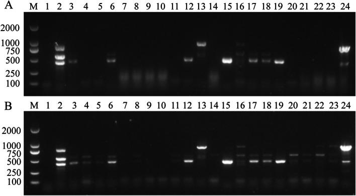 https://cdn.ncbi.nlm.nih.gov/pmc/blobs/c001/9608924/75fbc7173d14/12917_2022_3460_Fig4_HTML.jpg