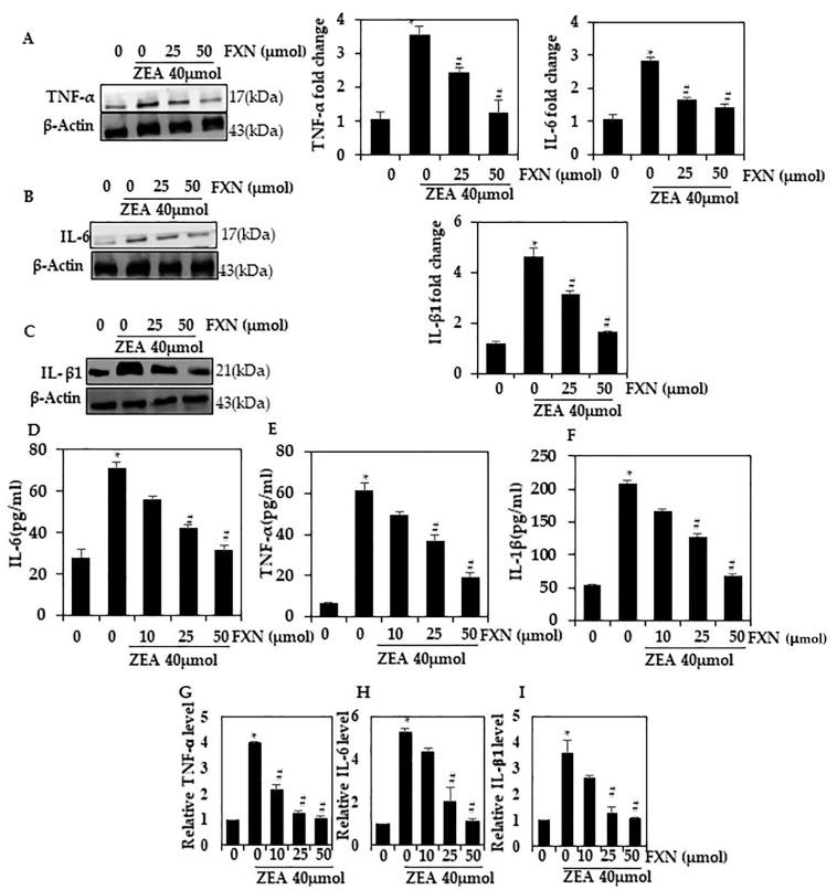 https://cdn.ncbi.nlm.nih.gov/pmc/blobs/c002/10381773/1e464c6a098d/marinedrugs-21-00391-g002.jpg