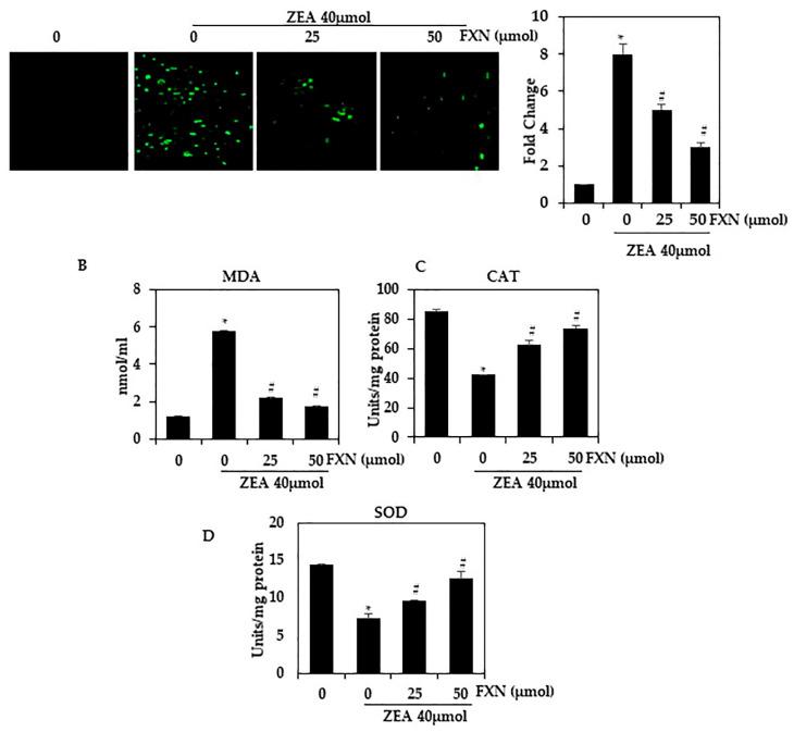 https://cdn.ncbi.nlm.nih.gov/pmc/blobs/c002/10381773/f306594d1b87/marinedrugs-21-00391-g003.jpg