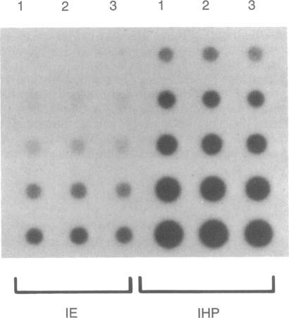 https://cdn.ncbi.nlm.nih.gov/pmc/blobs/c002/53964/f66faf371536/pnas01035-0046-b.jpg