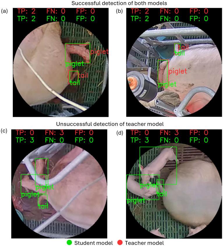 https://cdn.ncbi.nlm.nih.gov/pmc/blobs/c003/11446433/2f9d3fa34db3/pone.0310818.g005.jpg