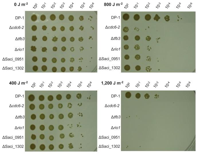 https://cdn.ncbi.nlm.nih.gov/pmc/blobs/c009/6934391/64042bedd75c/34_363_3.jpg