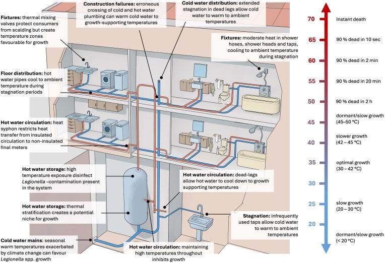 https://cdn.ncbi.nlm.nih.gov/pmc/blobs/c00a/12151150/0a2a282428d1/fuaf022fig4.jpg