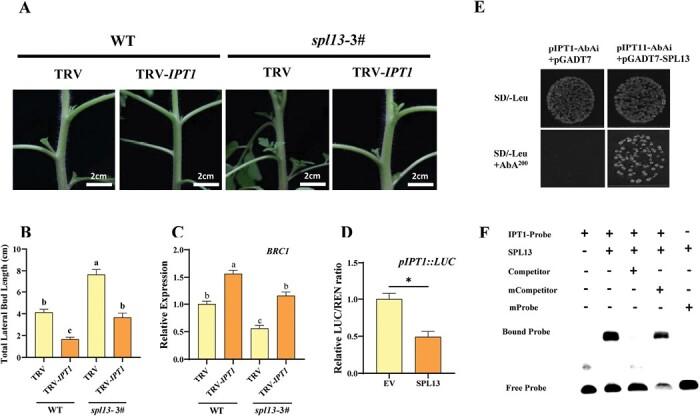 https://cdn.ncbi.nlm.nih.gov/pmc/blobs/c00c/10540736/4e8a60dce96f/erad303_fig5.jpg