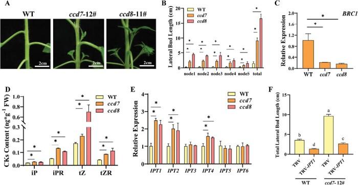 https://cdn.ncbi.nlm.nih.gov/pmc/blobs/c00c/10540736/7fc4295d3d98/erad303_fig1.jpg