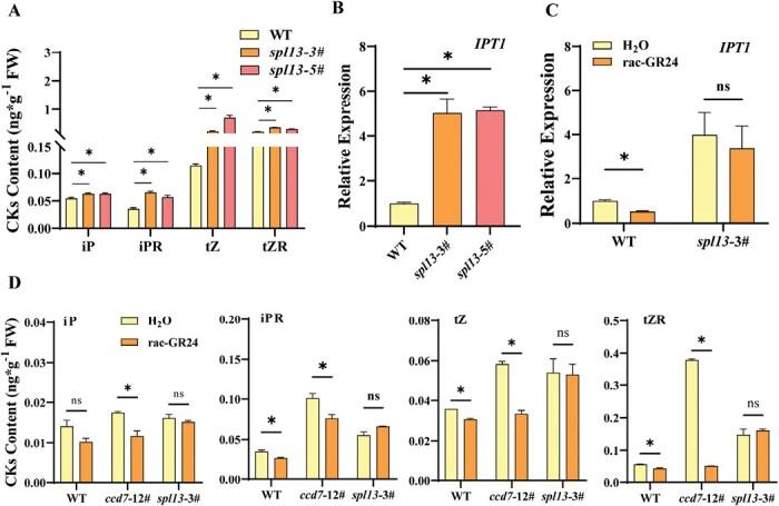 https://cdn.ncbi.nlm.nih.gov/pmc/blobs/c00c/10540736/da416ef3b44b/erad303_fig4.jpg